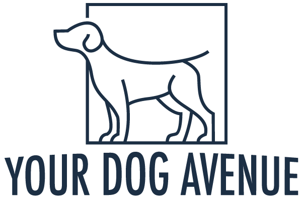 Your Dog Avenue